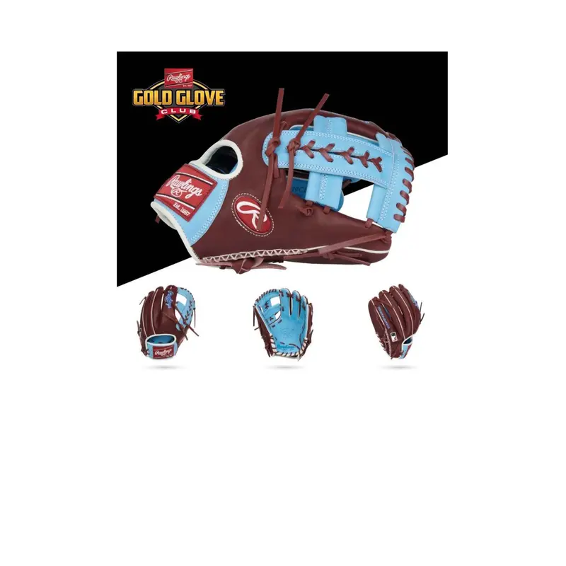 New Rawlings March 2023 Gold Glove Club  RPRO205-19CBSH Heart of the Hide 11.75"