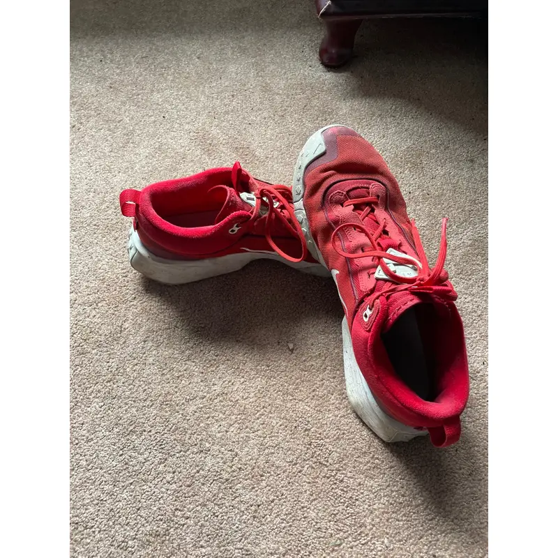 Men's Size 11.5 Nike Baseball Turf Shoes (Used)