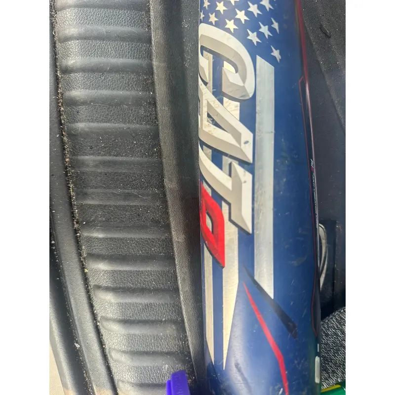 Cat 9 Pastime Baseball bat