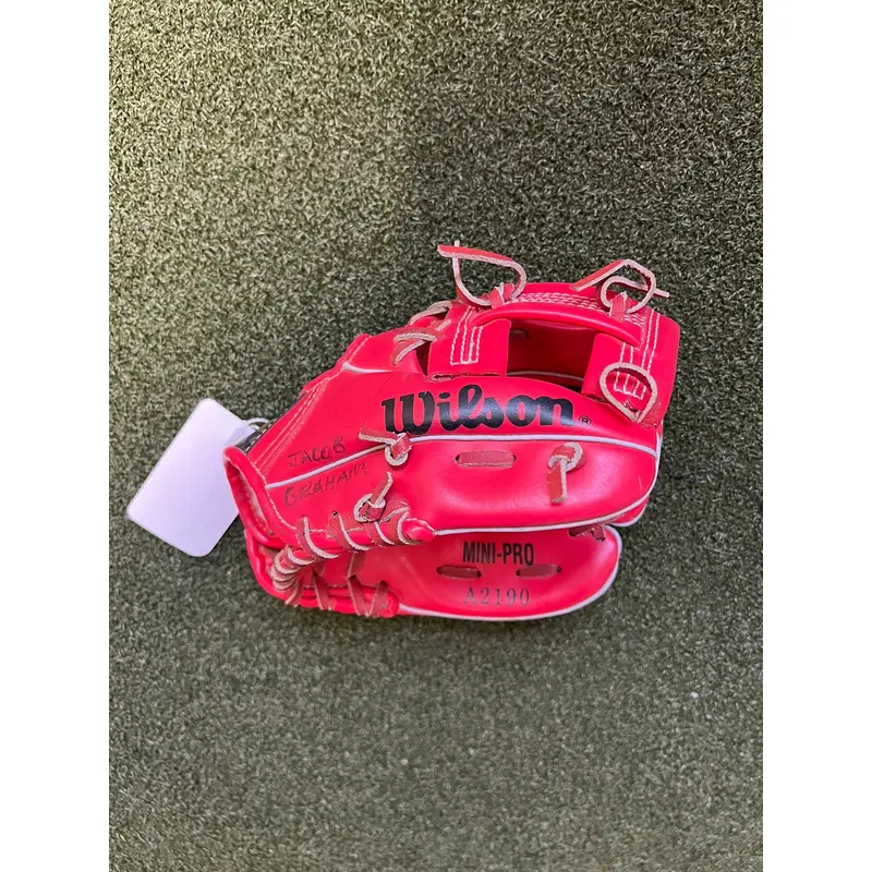 Wilson Mini-Pro 8.5" T-Ball Glove: A2190 (1160)