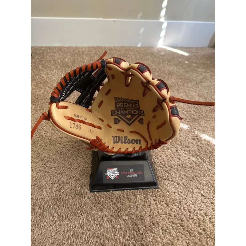 Rare Wilson Premier Trophy Glove