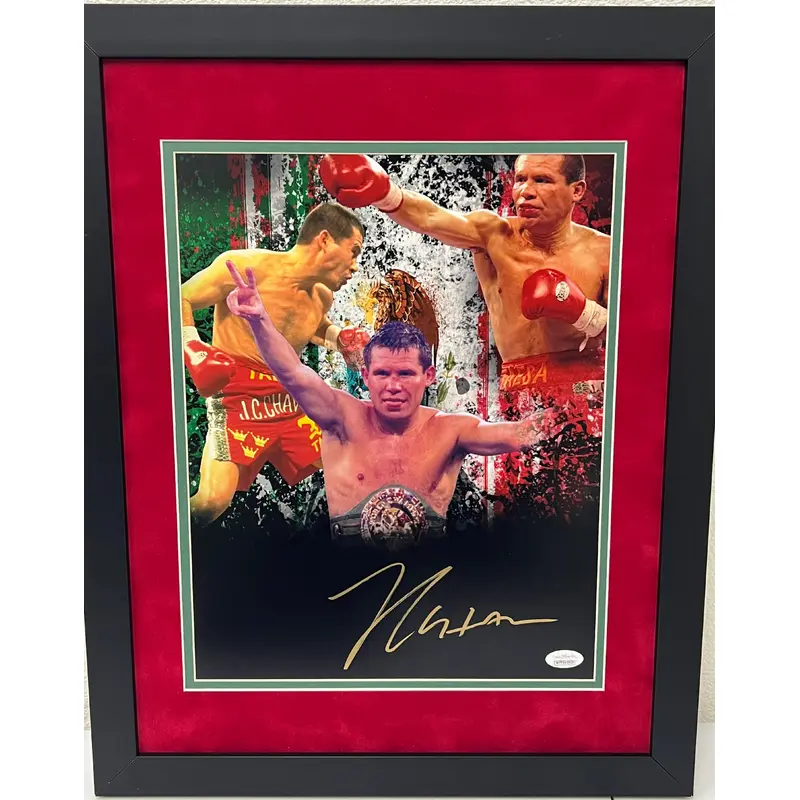 11x14 Custom Framed Photo  Personalized Picture Frame Display