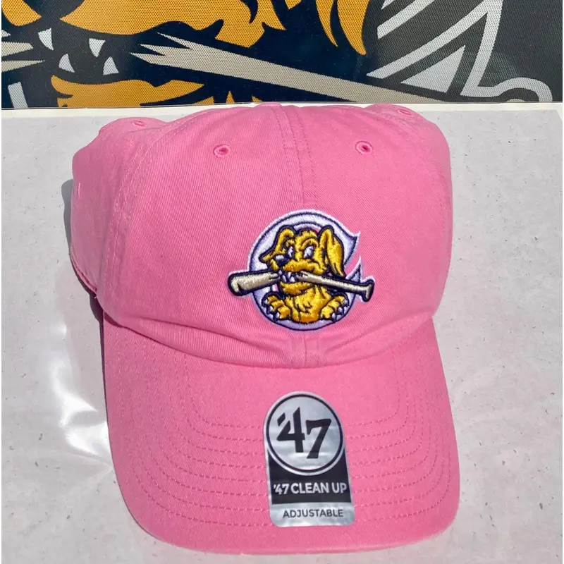 Charleston RiverDogs 47 Clean Up Bubble Gum Pink