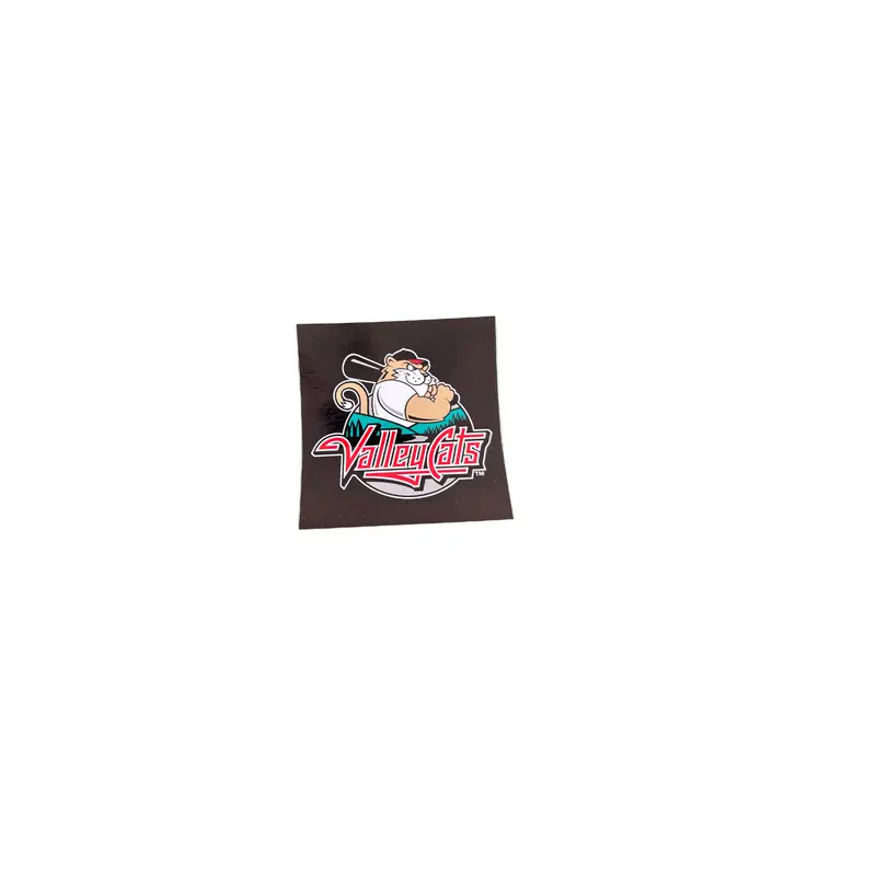 Tri-City ValleyCats Square Sticker
