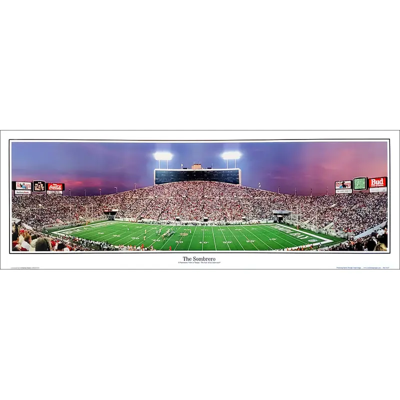 Tampa Bay Bucs "The Sombrero" (Tampa Stadium 1992) Panoramic Poster - Everlasting Images