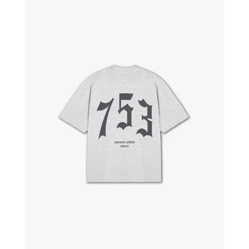 THE (753) VANQUISH SOFTBALL V2 ELITE TEE
