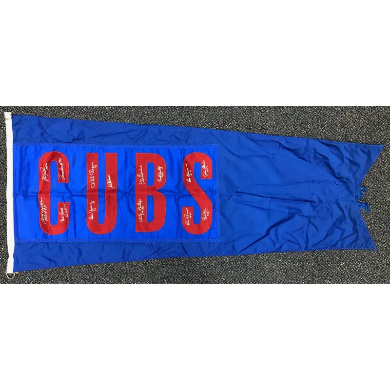 1969 Chicago Cubs Team Signed Huge Wrigley Field Cubs 30" x 69" Stadium Flag JSA