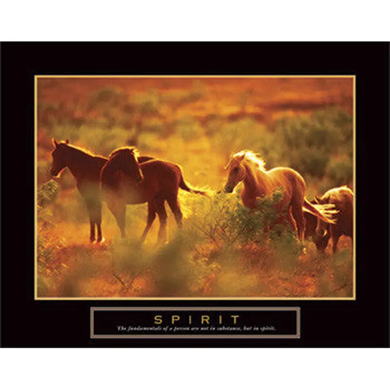 Wild Horses "Spirit" Motivational Poster - Front Line