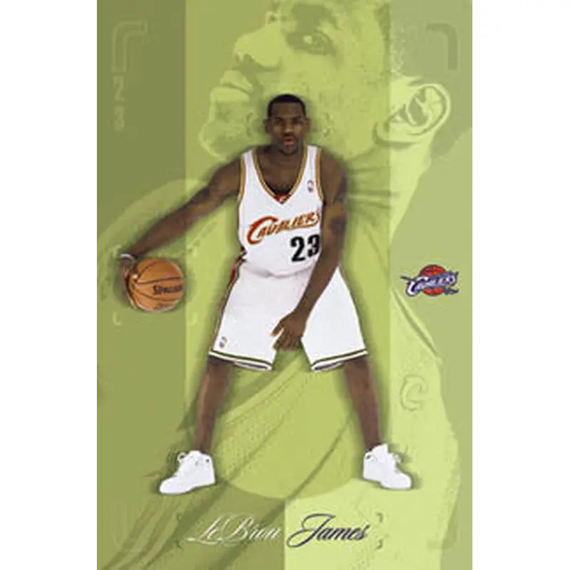 LeBron James "Breakout" Cleveland Cavaliers Rookie Poster - Costacos 2003