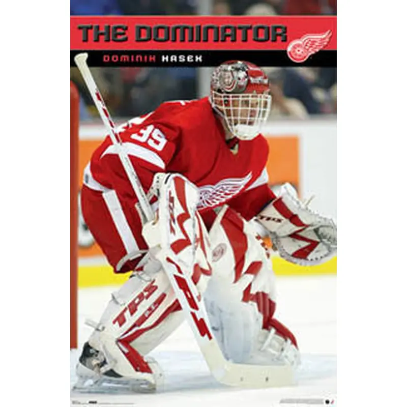 Dominik Hasek "The Dominator" Detroit Red Wings Poster - Costacos Sports 2007