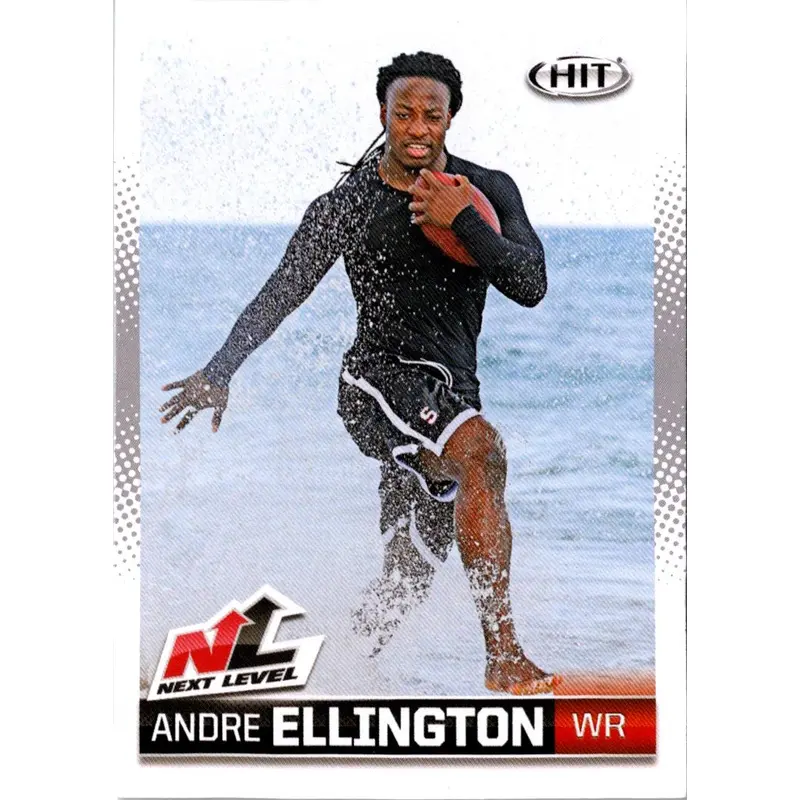 2013 SAGE HIT Andre Ellington #93