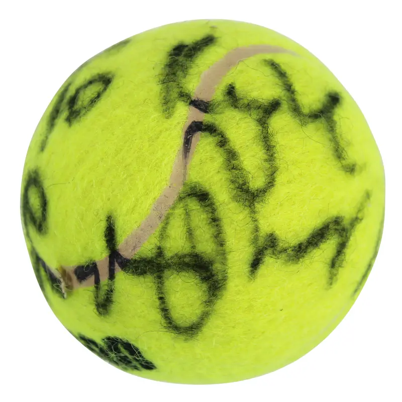 Lindsay Davenport "To Kyle" Authentic Signed Tennis Ball Autographed BAS #T20324