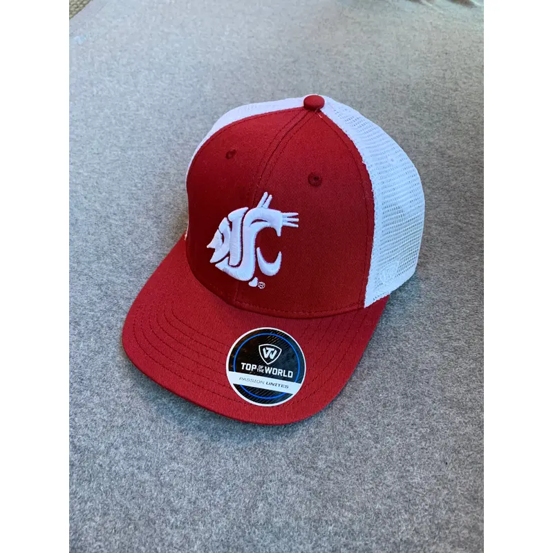 Crimson & White Washington State Adjustable Hat