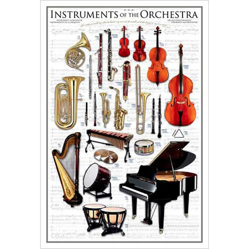 Instruments of the Orchestra Wall Chart Poster - Eurographics Inc.
