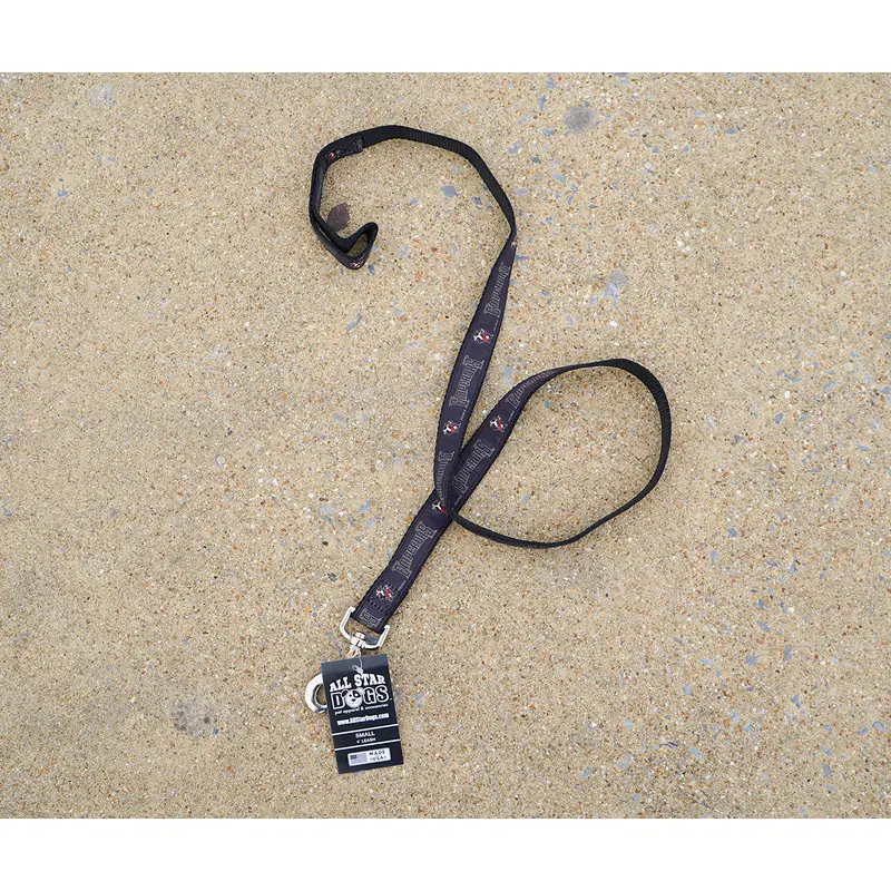 Rome Emperors Dog Leash