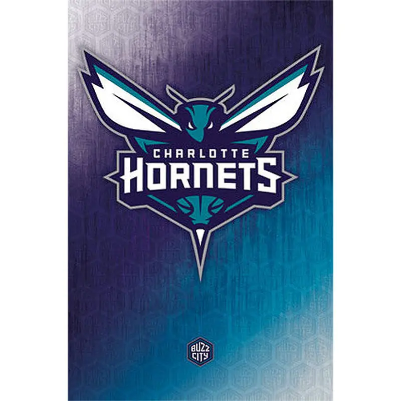 Charlotte Hornets NBA Basketball Official Team Logo Wall Poster - Trends International