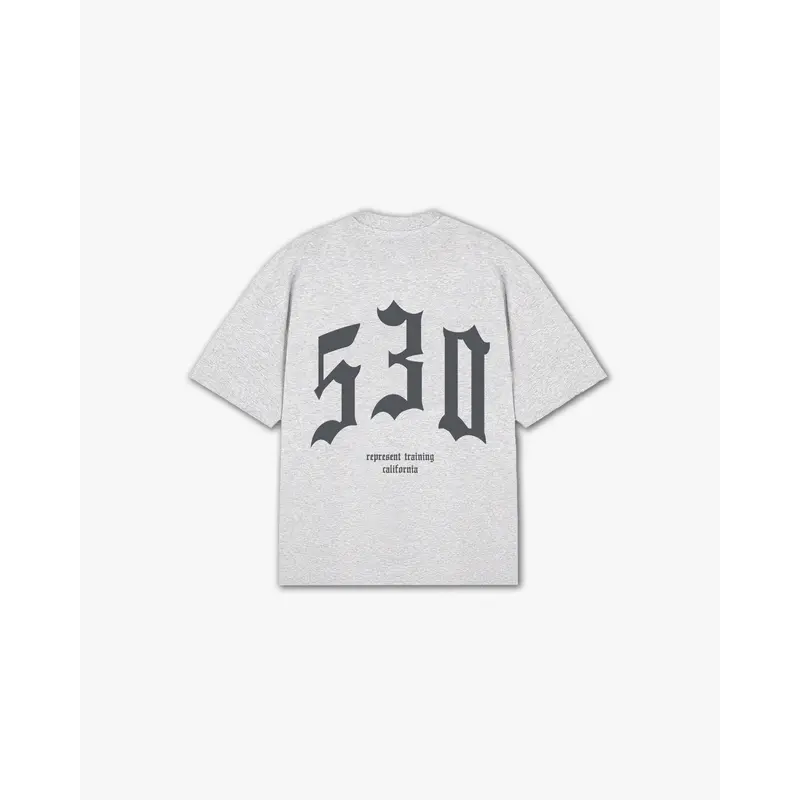 THE (530) VANQUISH TRAINING V2 ELITE TEE