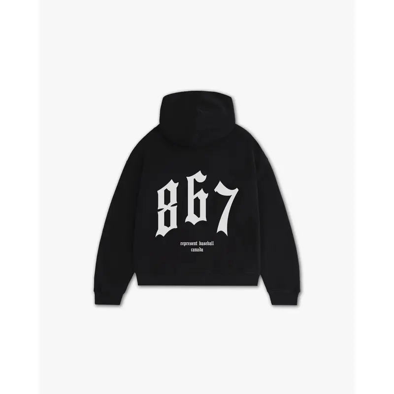 THE (867) VANQUISH BASEBALL ELITE HOODIE