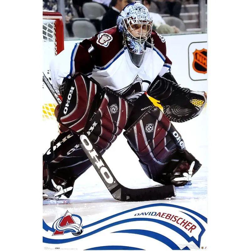 David Aebischer "Intensity" Colorado Avalanche Poster - Costacos 2005