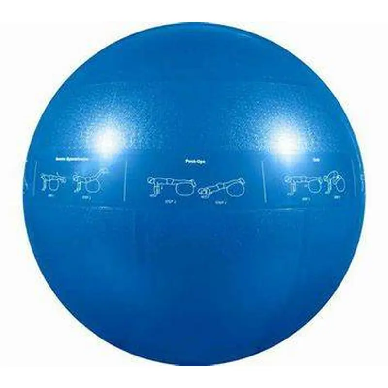 New GoFit 55CM Professional Stability Ball