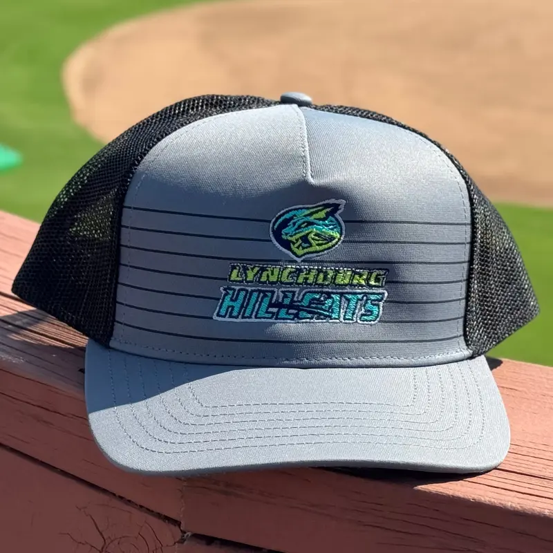 Lynchburg Hillcats Black & Gray Spelled Out Mesh Snapback Hat