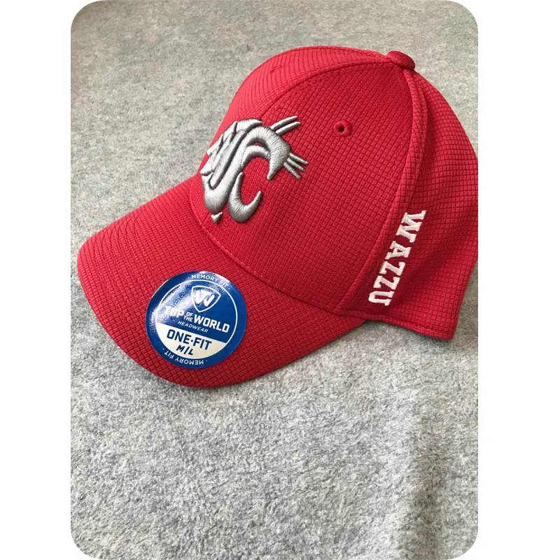 Fitted Crimson and Gray Embroidered Baseball Hat