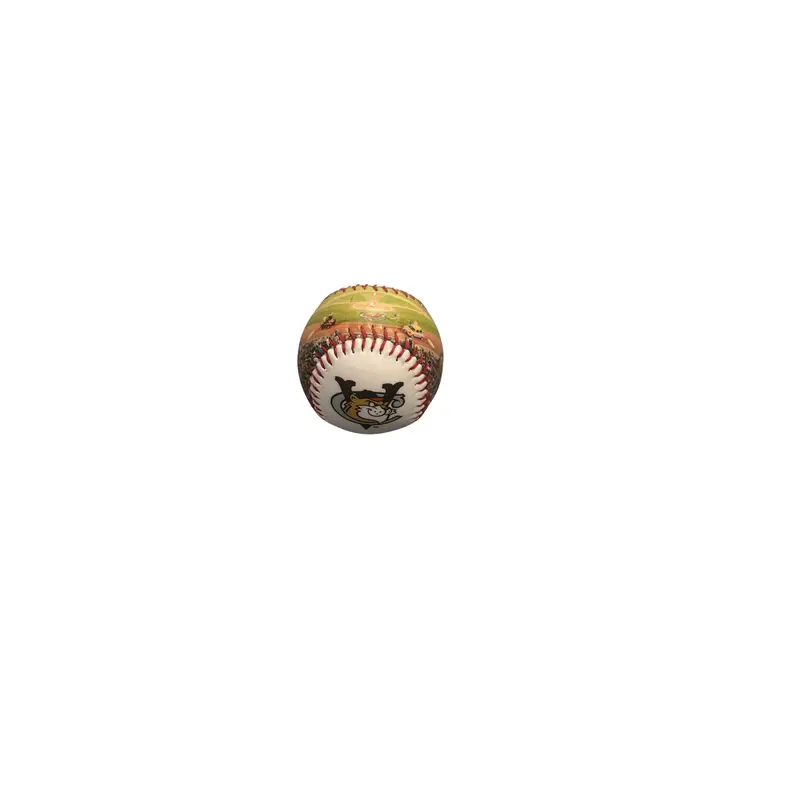 Tri-City ValleyCats Stadium Photo Baseball