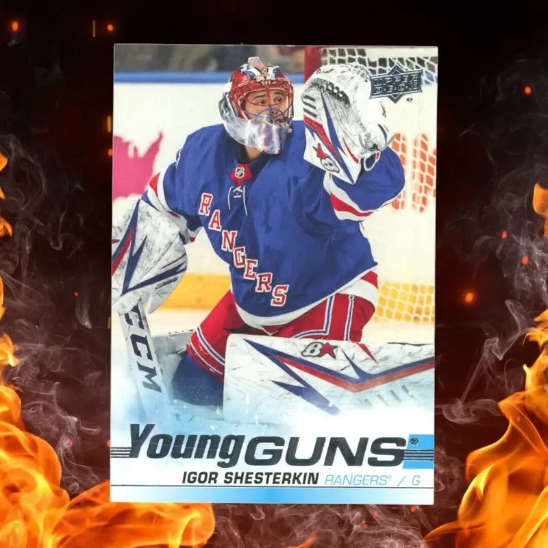 2019-20 SP Authentic IGOR SHESTERKIN Young Guns #528 Rookie