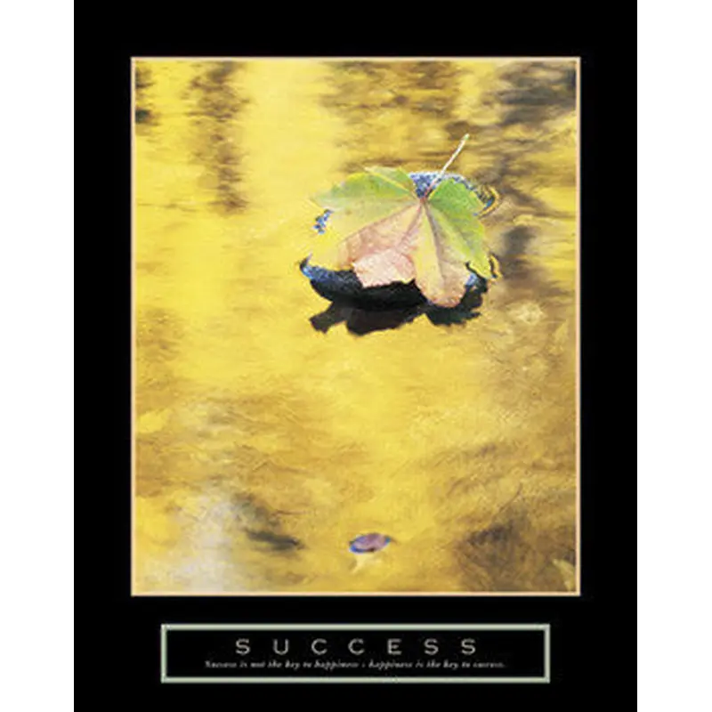 Leaf in Pond "Success" (Happiness) Motivational Poster - Front Line