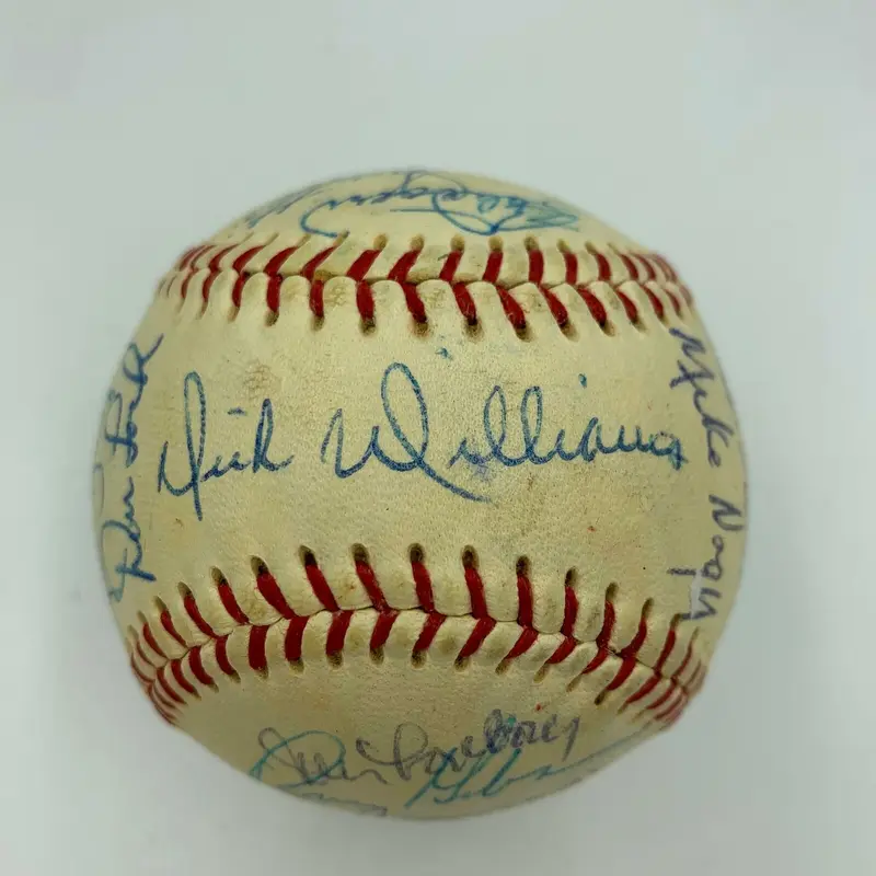 Nice 1969 Boston Red Sox Team Signed Baseball Carl Yastrzemski PSA DNA 7.5 NM