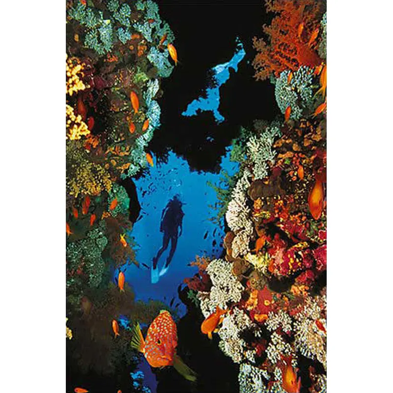 Scuba Diving in Beautiful Coral Reef Poster- Eurographics Inc.