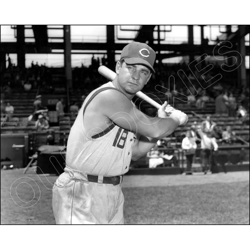 Ted Kluszewski 8X10 Photo - Cincinnati Reds 1956 - 1343