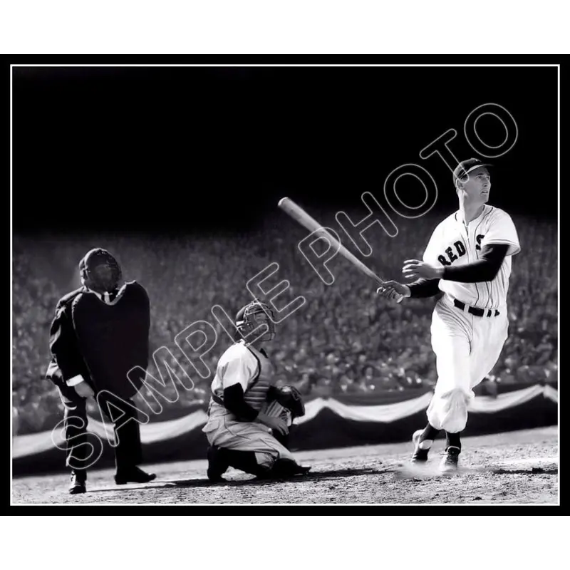 Ted Williams 8X10 Photo - Boston Red Sox - 819