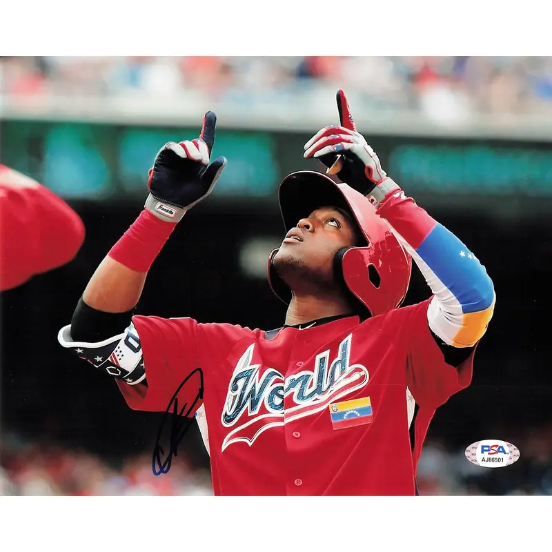 LUIS ALEXANDER BASABE signed 8x10 photo PSA/DNA Boston Red Sox Autographed