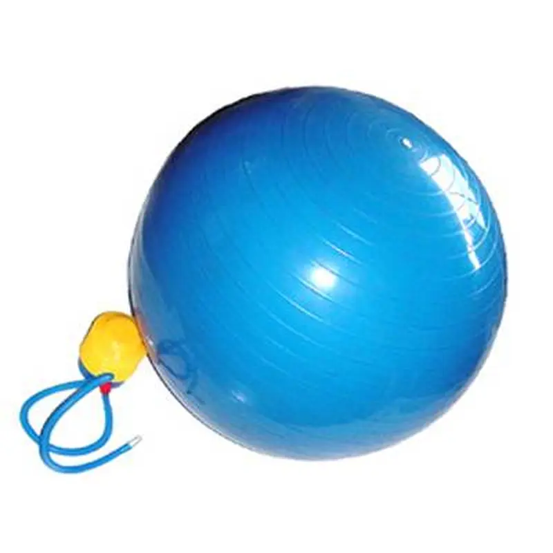 NEW Apollo Athletics 65 CM Exercise Ball