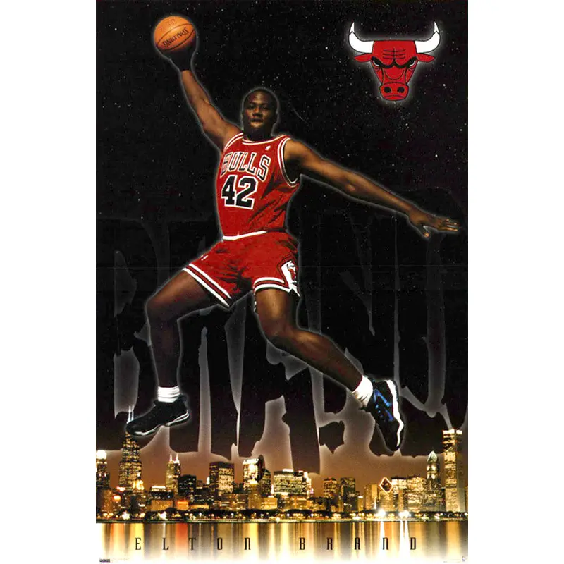 Elton Brand "Soaring Slam" Chicago Bulls NBA Action Poster - Costacos 1999
