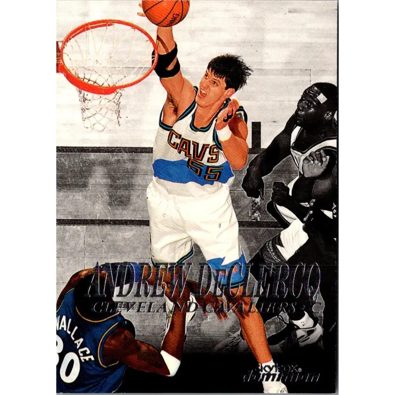 1999 SkyBox Dominion Andrew DeClercq #102