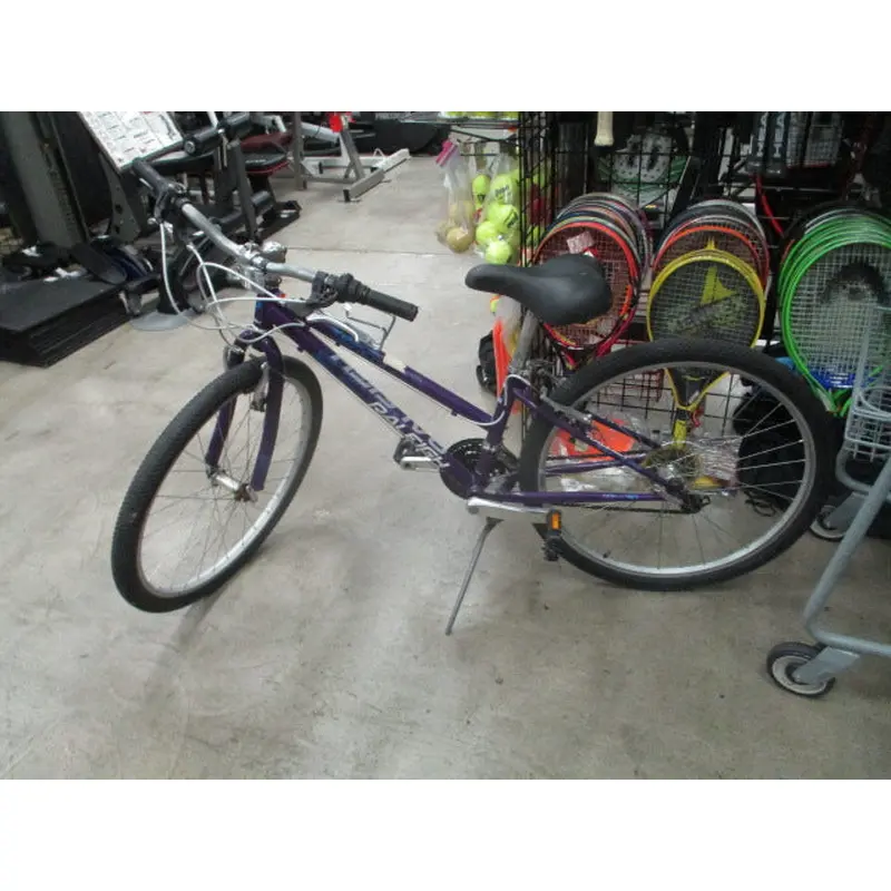 Used Raleigh Eva 2.0 26" 21-Speed Mountain Bike XS Frame
