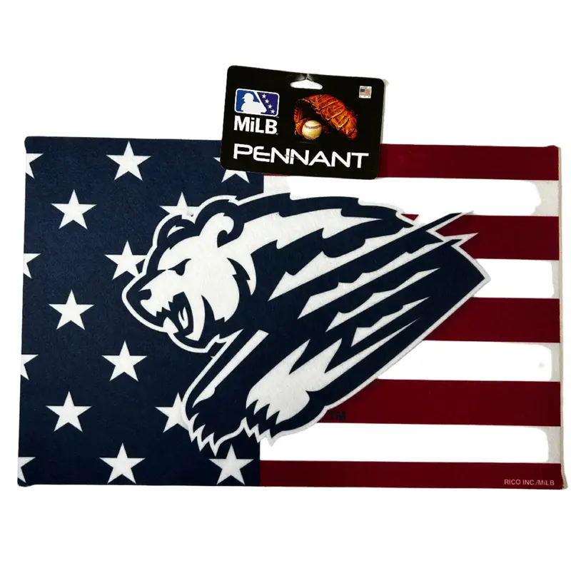 Grizzlies USA Pennant