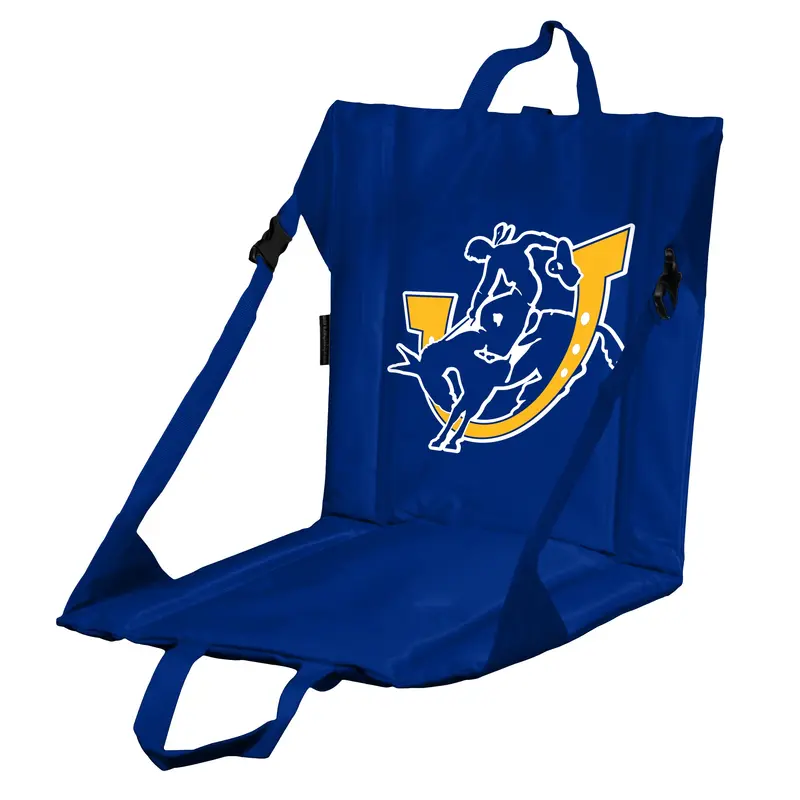 Southern Arkansas Stadium Seat