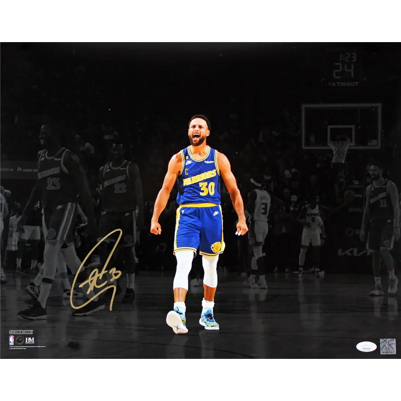Warriors Stephen Curry Authentic Signed 16x20 Horizontal Spotlight Photo JSA 2