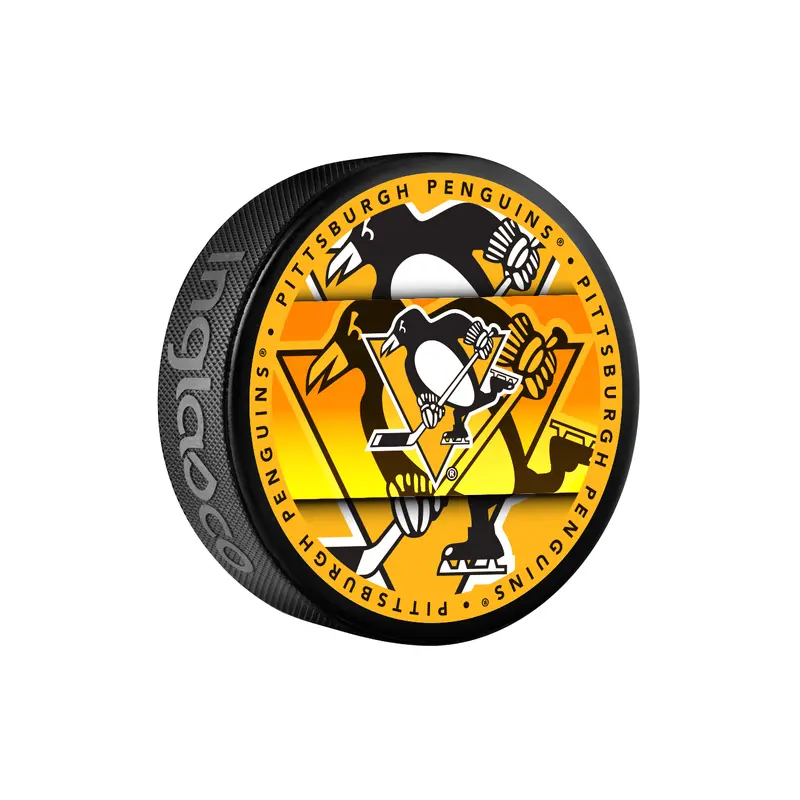 NHL Pittsburgh Penguins Medallion Souvenir Collector Hockey Puck