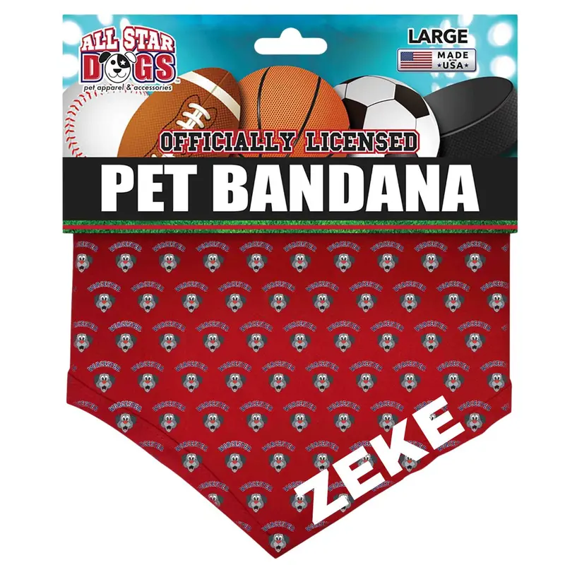 Customized Red Woofster Pet Bandana