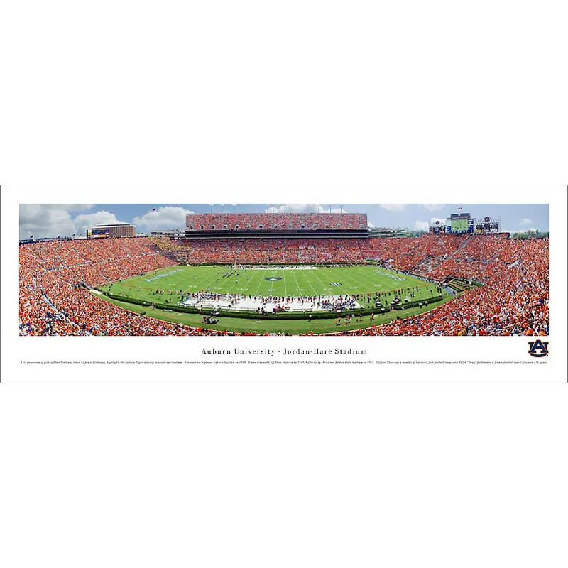 Auburn Tigers Football Jordan-Hare Stadium Gameday Panoramic Poster - Blakeway 2008